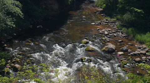 Top view of shallow river rapids in forest Stock Footage 51052265