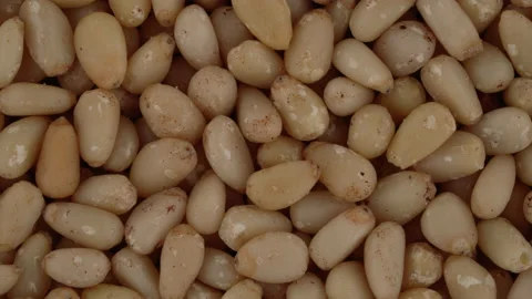 Top view of shelled pine nuts rotating. Closeup. Macro. Stock Footage 170417743