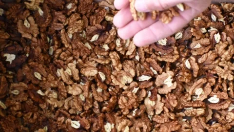 Top view shelled walnut , horizontal 4k footage Stock Footage 290789155