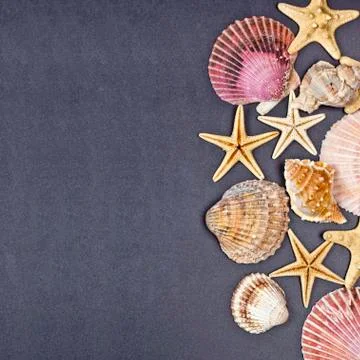 Top view of shells and starfish group on black background. Stock Photos