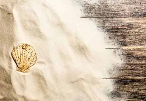 Top view of shells on the sand Stock Photos