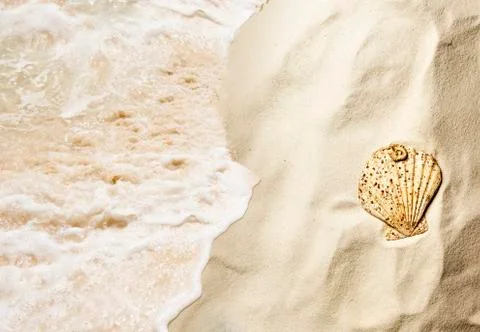Top view of shells on the sandy beach with wave Stock Photos