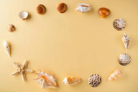 Top view of shells on yellow table. Travel vacation concept. Dreaming about v Stockfoto's