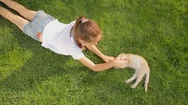 	Top View Shot Of Beautiful Girl Lying On Grass With Red Kitten Stock Footage