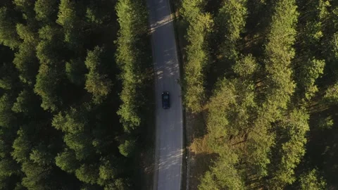 Top view of single black car driving through forest in Zlatibor, Serbia Stock Footage 142937645