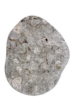 Top view of single gray pebble Stock Photos