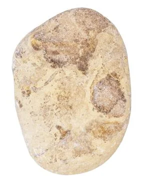 Top view of single yellow pebble Stock Photos