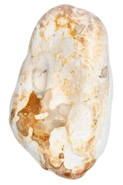 Top view of single yellow pebble Stock Photos