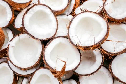 Top view slice coconut Stock-Fotos