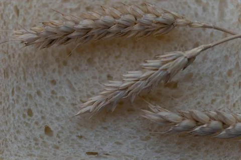 Top view of sliced fresh bread and rye Stock Photos