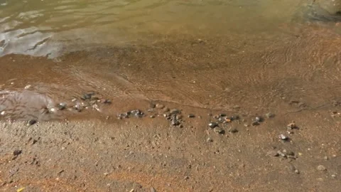Top view slow motion of clear water ripples on the sandy river bank Stock Footage 319887835