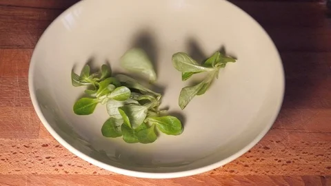 Top view slow motion of lamb lettuce green salad  leaves falling on plate. Stock Footage 117112516