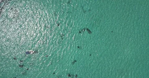 Top View Slow motion looping c ripples and wave Stock Footage 143465899