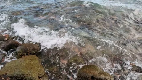 Top view slow motion rocky beach with clear water Stock Footage 319875248