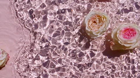 Top view slow motion of waves water on pink background. Summer scene with pink Stock-Footage 163680292