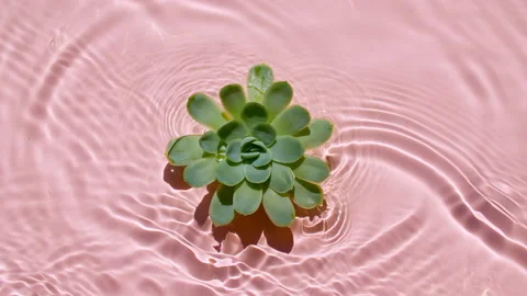 Top view slow motion of waves water on pink background. Summer scene with green Stock Footage 167306197