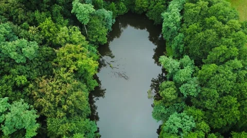 Top view - slowly flight with a drone (UAV) over the beautiful and tranquil lake Stock Footage 205938570