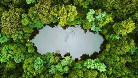 Top view - slowly flight with a drone (UAV) over the beautiful and tranquil lake Stock Footage 205938936