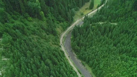 Top view of small bend road and green wood  Stock Footage 313731654
