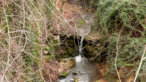 Top view of small creek cascading from a rocky ledge in a spring forest Stock Footage 321890735