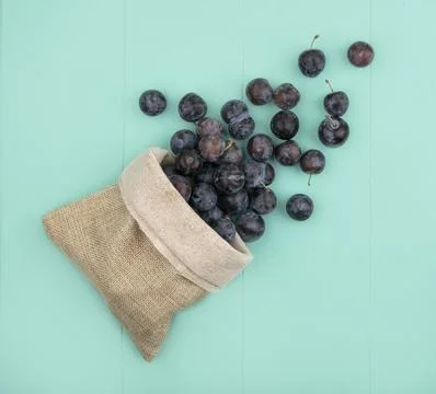 Top view of the small dark globose astringent fruit sloes falling out of a .. Stock Photos