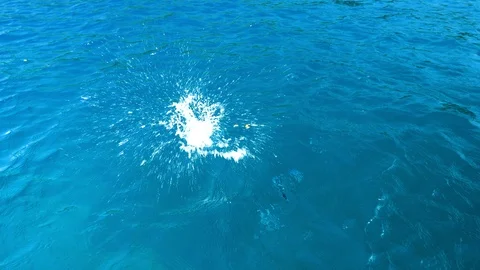 Top view of small fish swimming in clear blue water of Mediterranean sea. 4K Vidéo 124255713