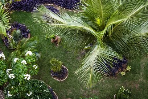 Top view of a small garden Stock Photos