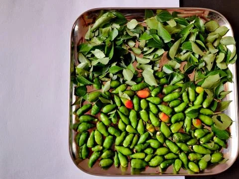 Top view of small green chillies and curry leaves kept in silver plate. Isola Stock Photos