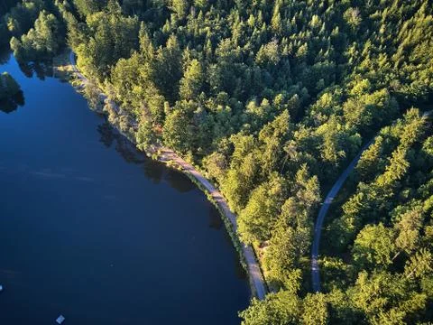 Top View of a small lake and green trees around with a small path or street Stock Photos