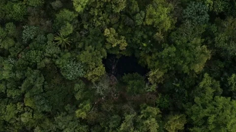 Top view of a small lake in the middle of the forest covered with trees, nature Stock Footage 154802373