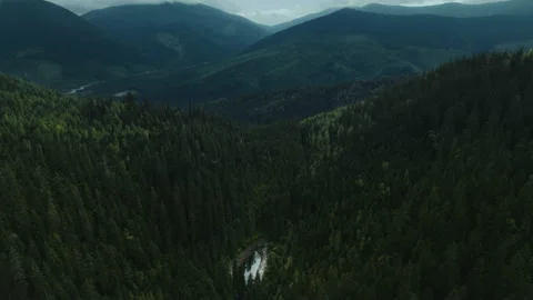 Top view of a small mountain lake in the woods. Stock Footage 170488883