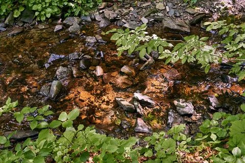 Top view of a small mountain stream river running in a shadowy forest Stock Photos