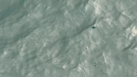 Top view of a small orange float and fishing line on the surface of clear sea Stock Footage 332618482