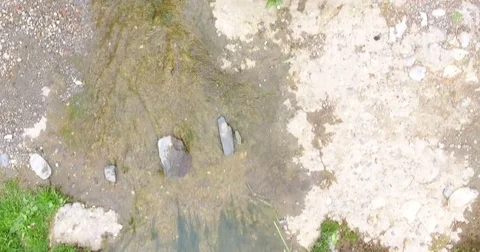 Top view of Small River Stock Footage 74831431