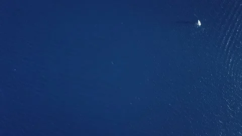 Top view of small white boat sailing in the blue sea Stock Footage 100048535
