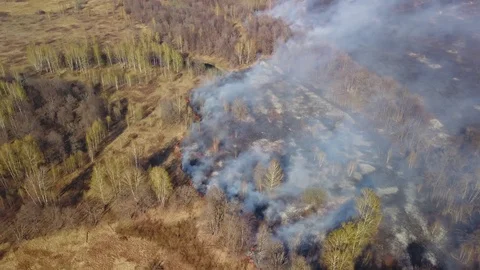 Top view of smoke fire in field and forest Stock Footage 121110158