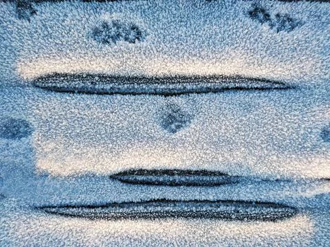 Top view of a snow-covered surface with an abstract pattern and animal footpr Stock Photos