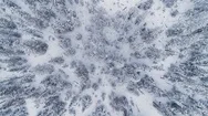 Top View Of The Snow-Covered Taiga In Rotation Stock Footage