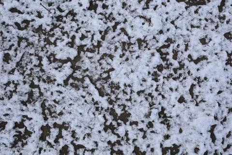 Top view, snow texture. Background, winter period Stock Photos