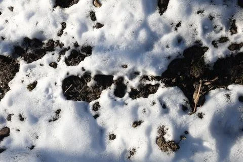 Top view, snow texture. Background, winter period. Natural background Stock Photos