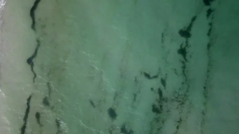 Top view of a snow-white beach and sea surf Stock-Footage 120295369