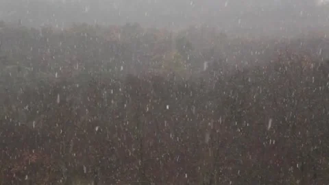 Top view of snowfall Stock Footage 145610071