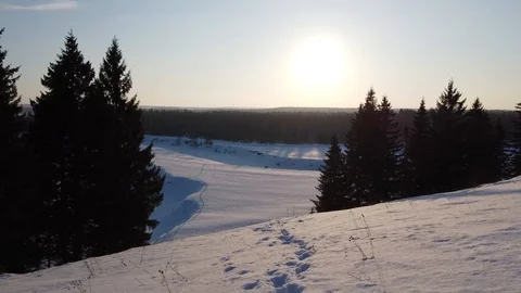 Top view of the snowy fields and forest. Quadrocopter shooting at sunset Stock-Footage 125316902