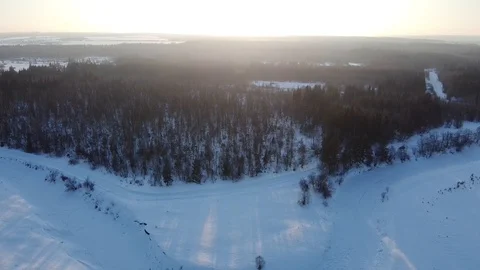 Top view of the snowy fields and forest. Quadrocopter shooting at sunset Stock-Footage 125317001