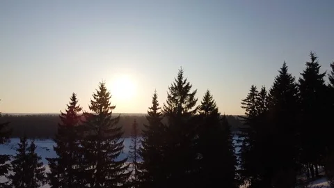 Top view of the snowy fields and forest. Quadrocopter shooting at sunset Stock Footage 125317292