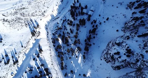 Top view of the snowy forests and mountains. Lots of pine trees and firs. Video stock 100706842