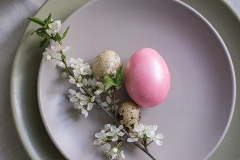 Top view of soft pink Easter eggs on a plate with a blossoming branch. East.. Foto stock