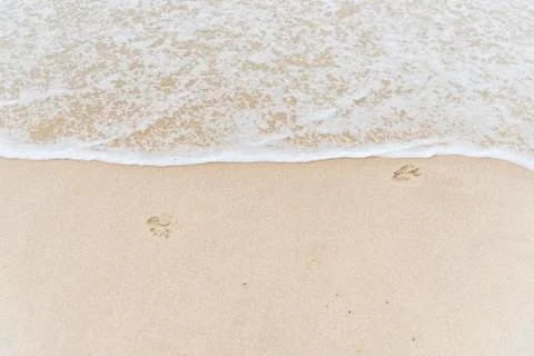Top view Soft wave from sea come to wet sand beach background. With copy spac Stock Photos