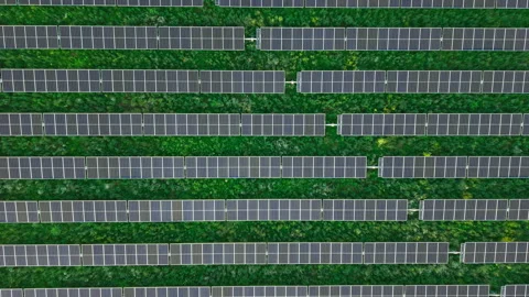 Top View of Solar Panels Across Greenery Stock Footage 340281225