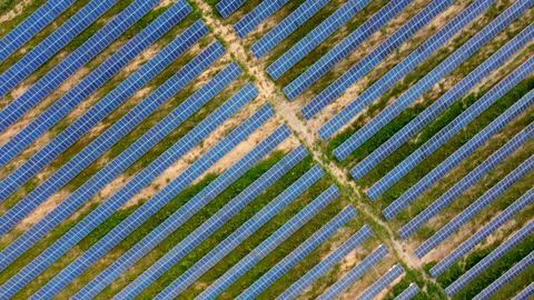 Top view of Solar panels in a solar farm Stock Footage 258292712